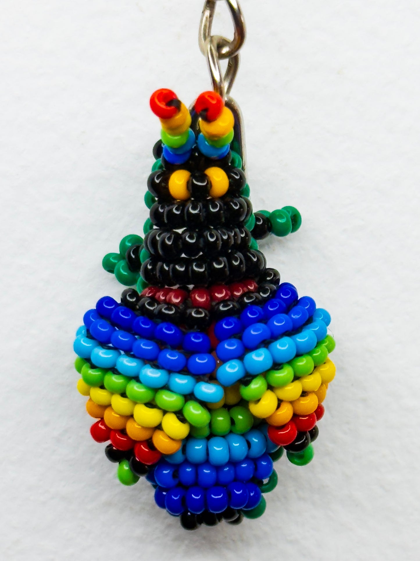 Catzo Arcoiris