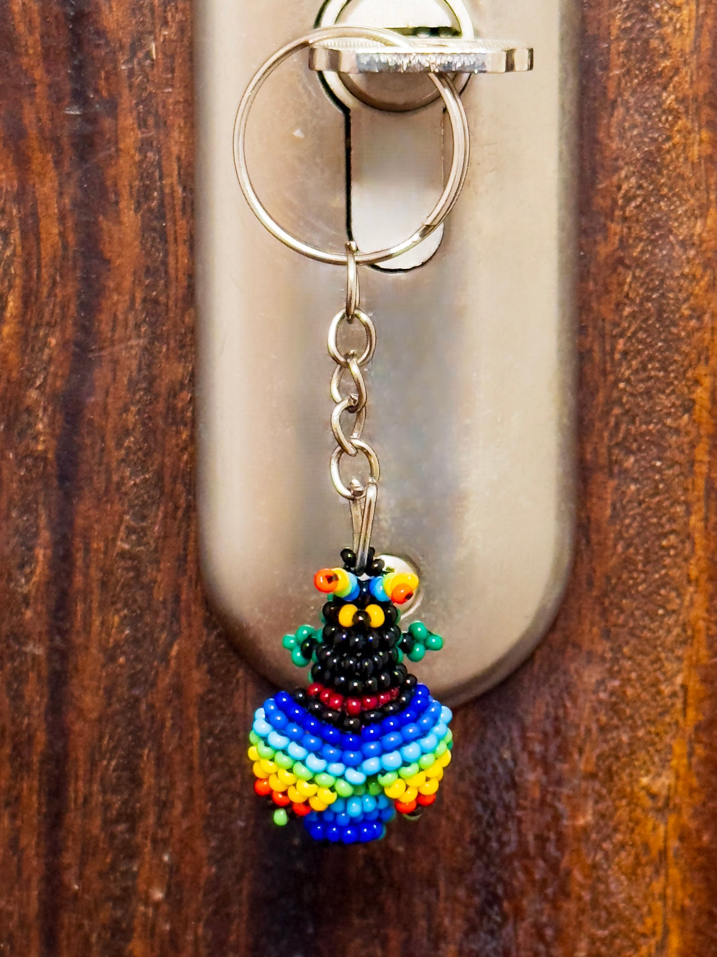 Catzo Arcoiris