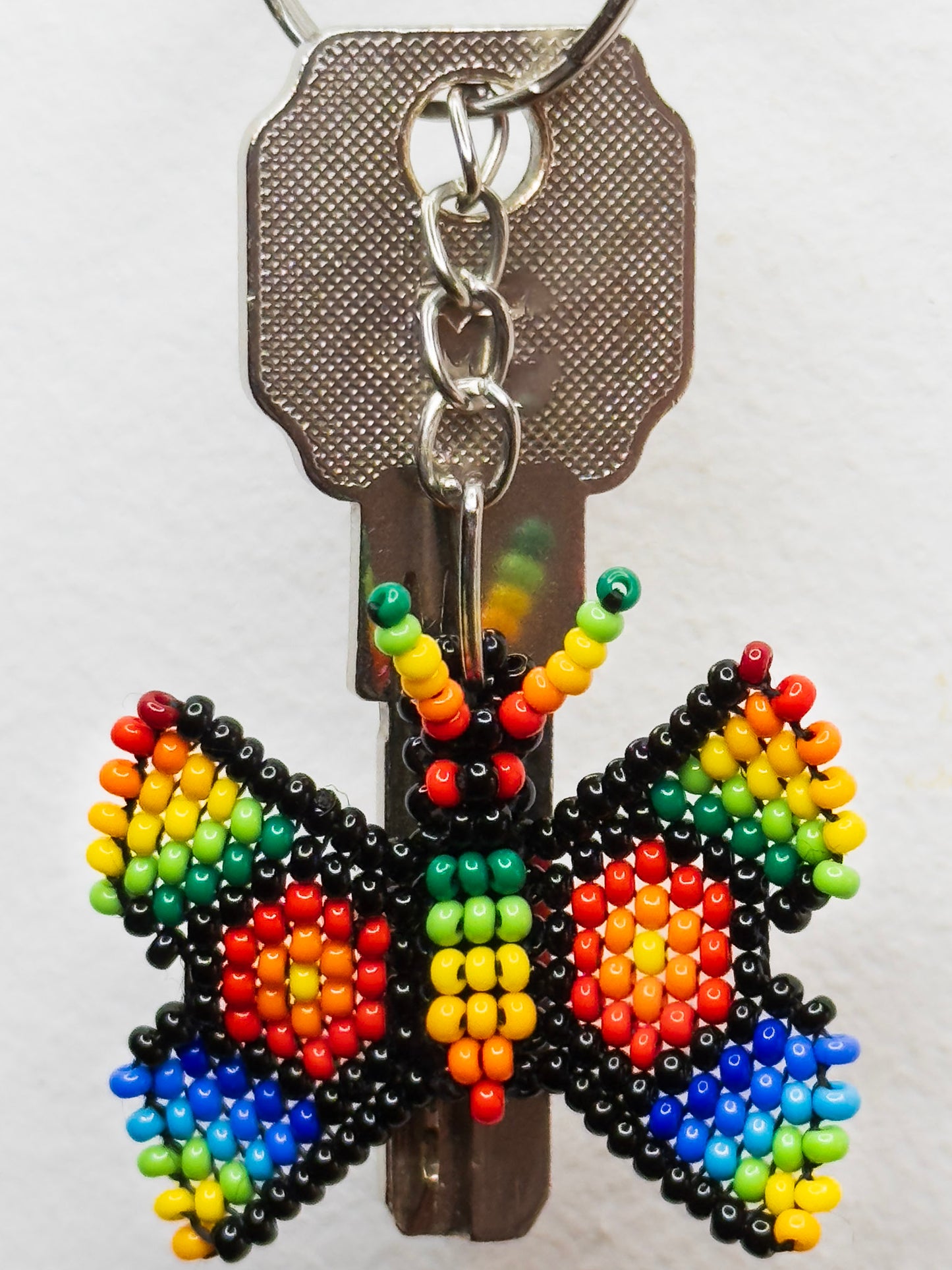 Mariposa Arcoiris