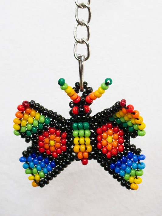 Mariposa Arcoiris